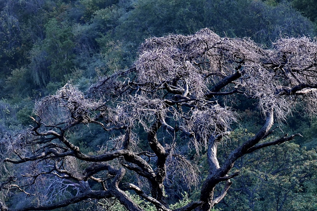 Lake Manyara NP